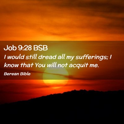 Picture 02 - Job 9:28 BSB - I would still dread all my sufferings; I know - Bible Verse Picture