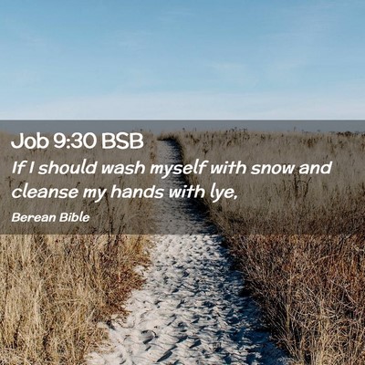 Picture 02 - Job 9:30 BSB - If I should wash myself with snow and cleanse my - Bible Verse Picture