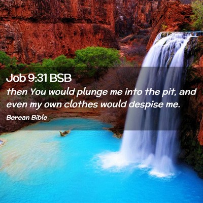 Picture 02 - Job 9:31 BSB - then You would plunge me into the pit, and even - Bible Verse Picture