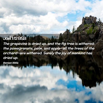 Picture 02 - Joel 1:12 BSB - The grapevine is dried up, and the fig tree is - Bible Verse Picture