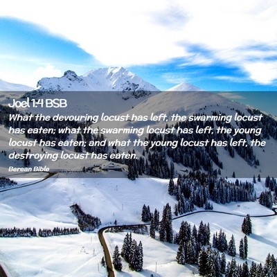 Picture 02 - Joel 1:4 BSB - What the devouring locust has left, the swarming - Bible Verse Picture