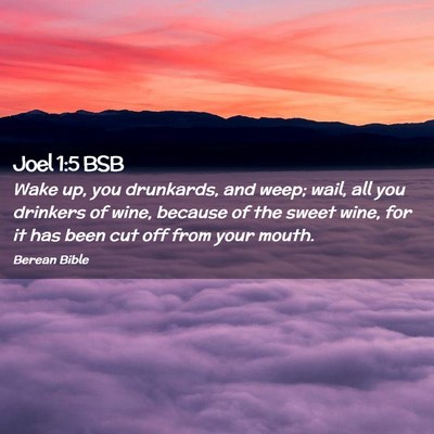 Picture 02 - Joel 1:5 BSB - Wake up, you drunkards, and weep; wail, all you - Bible Verse Picture