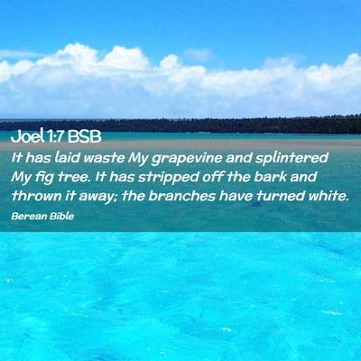 Picture 02 - Joel 1:7 BSB - It has laid waste My grapevine and splintered My - Bible Verse Picture