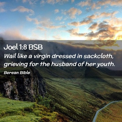 Picture 02 - Joel 1:8 BSB - Wail like a virgin dressed in sackcloth, grieving - Bible Verse Picture
