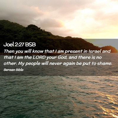 Picture 02 - Joel 2:27 BSB - Then you will know that I am present in Israel - Bible Verse Picture