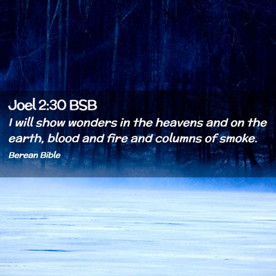 Picture 02 - Joel 2:30 BSB - I will show wonders in the heavens and on the - Bible Verse Picture