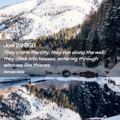 Picture 02 - Joel 2:9 BSB - They storm the city; they run along the wall; - Bible Verse Picture