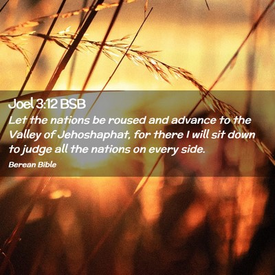 Picture 02 - Joel 3:12 BSB - Let the nations be roused and advance to the - Bible Verse Picture