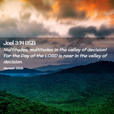 Picture 02 - Joel 3:14 BSB - Multitudes, multitudes in the valley of decision! - Bible Verse Picture