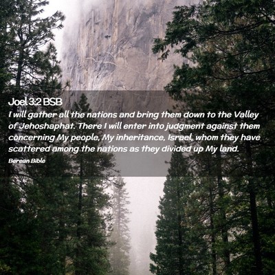 Picture 02 - Joel 3:2 BSB - I will gather all the nations and bring them down - Bible Verse Picture
