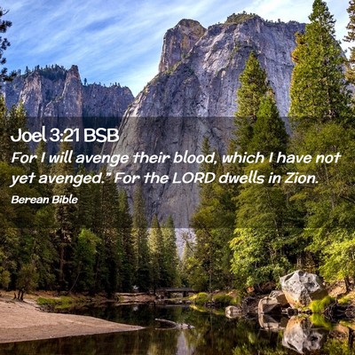 Picture 02 - Joel 3:21 BSB - For I will avenge their blood, which I have not - Bible Verse Picture