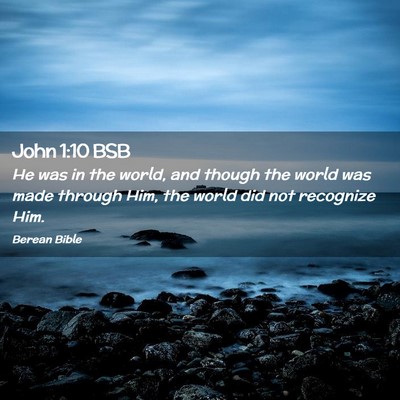 Picture 02 - John 1:10 BSB - He was in the world, and though the world was - Bible Verse Picture