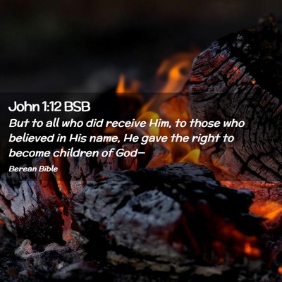 Picture 02 - John 1:12 BSB - But to all who did receive Him, to those who - Bible Verse Picture