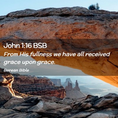 Picture 02 - John 1:16 BSB - From His fullness we have all received grace upon - Bible Verse Picture
