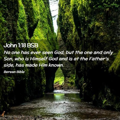 Picture 02 - John 1:18 BSB - No one has ever seen God, but the one and only - Bible Verse Picture
