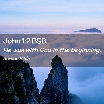 Picture 02 - John 1:2 BSB - He was with God in the - Bible Verse Picture