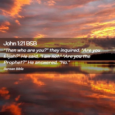 Picture 02 - John 1:21 BSB - “Then who are you?” they inquired. “Are you - Bible Verse Picture
