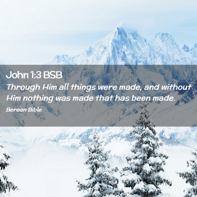 Picture 02 - John 1:3 BSB - Through Him all things were made, and without Him - Bible Verse Picture