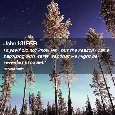 Picture 02 - John 1:31 BSB - I myself did not know Him, but the reason I came - Bible Verse Picture