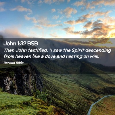 Picture 02 - John 1:32 BSB - Then John testified, “I saw the Spirit - Bible Verse Picture