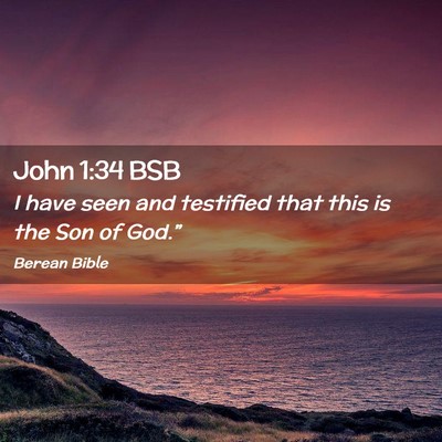 Picture 02 - John 1:34 BSB - I have seen and testified that this is the Son of - Bible Verse Picture