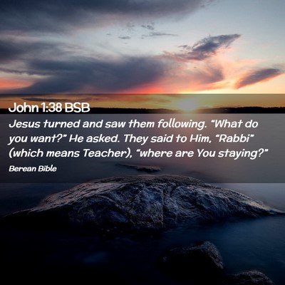 Picture 02 - John 1:38 BSB - Jesus turned and saw them following. “What do - Bible Verse Picture