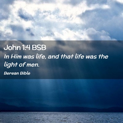Picture 02 - John 1:4 BSB - In Him was life, and that life was the light of - Bible Verse Picture