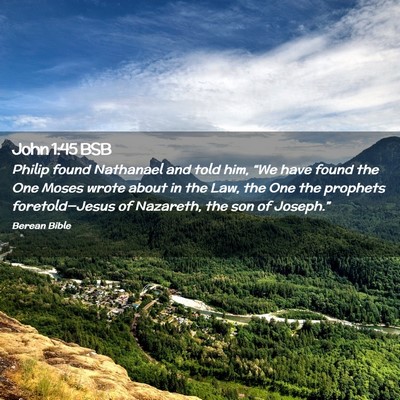 Picture 02 - John 1:45 BSB - Philip found Nathanael and told him, “We have - Bible Verse Picture