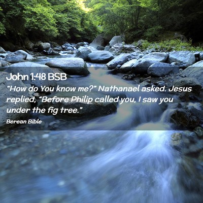 Picture 02 - John 1:48 BSB - “How do You know me?” Nathanael asked. Jesus - Bible Verse Picture