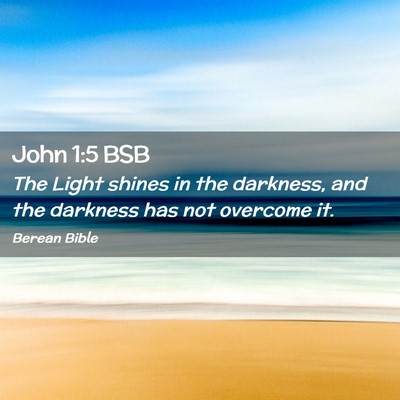 Picture 02 - John 1:5 BSB - The Light shines in the darkness, and the - Bible Verse Picture