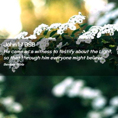 Picture 02 - John 1:7 BSB - He came as a witness to testify about the Light, - Bible Verse Picture