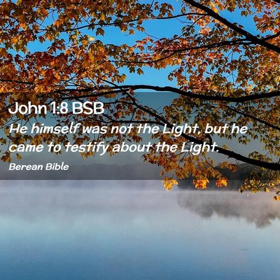 Picture 02 - John 1:8 BSB - He himself was not the Light, but he came to - Bible Verse Picture