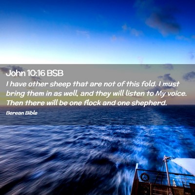 Picture 02 - John 10:16 BSB - I have other sheep that are not of this fold. I - Bible Verse Picture