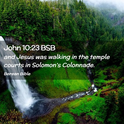 Picture 02 - John 10:23 BSB - and Jesus was walking in the temple courts in - Bible Verse Picture