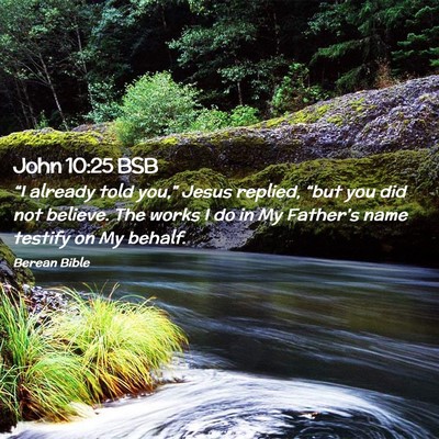 Picture 02 - John 10:25 BSB - “I already told you,” Jesus replied, “but - Bible Verse Picture