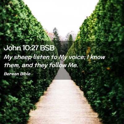 Picture 02 - John 10:27 BSB - My sheep listen to My voice; I know them, and - Bible Verse Picture