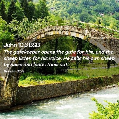 Picture 02 - John 10:3 BSB - The gatekeeper opens the gate for him, and the - Bible Verse Picture