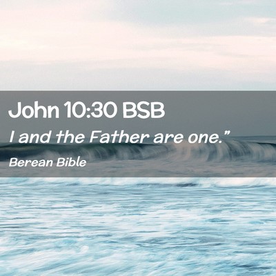 Picture 02 - John 10:30 BSB - I and the Father are - Bible Verse Picture