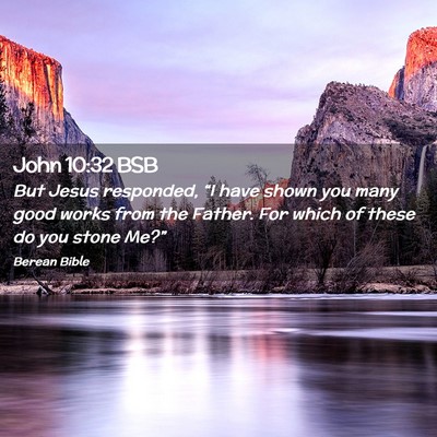 Picture 02 - John 10:32 BSB - But Jesus responded, “I have shown you many - Bible Verse Picture