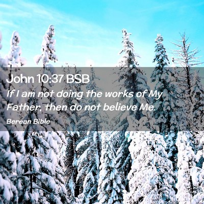 Picture 02 - John 10:37 BSB - If I am not doing the works of My Father, then do - Bible Verse Picture