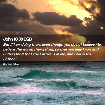 Picture 02 - John 10:38 BSB - But if I am doing them, even though you do not - Bible Verse Picture