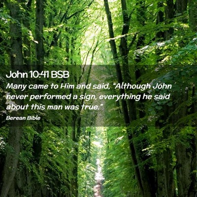 Picture 02 - John 10:41 BSB - Many came to Him and said, “Although John never - Bible Verse Picture