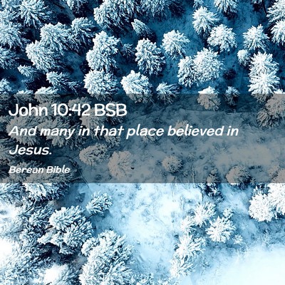 Picture 02 - John 10:42 BSB - And many in that place believed in - Bible Verse Picture