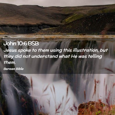 Picture 02 - John 10:6 BSB - Jesus spoke to them using this illustration, but - Bible Verse Picture