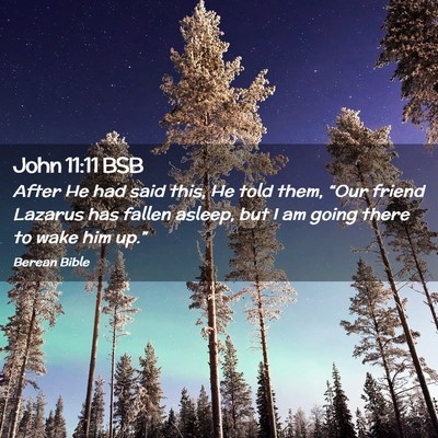 Picture 02 - John 11:11 BSB - After He had said this, He told them, “Our - Bible Verse Picture