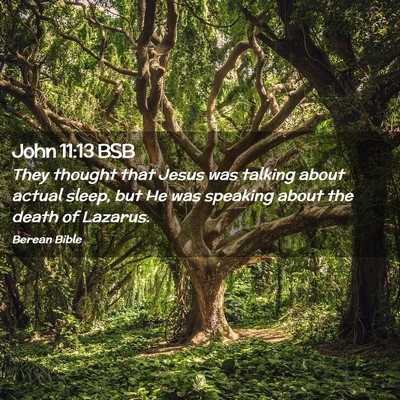 Picture 02 - John 11:13 BSB - They thought that Jesus was talking about actual - Bible Verse Picture