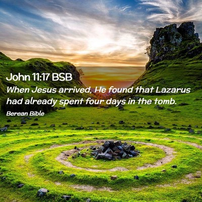 Picture 02 - John 11:17 BSB - When Jesus arrived, He found that Lazarus had - Bible Verse Picture