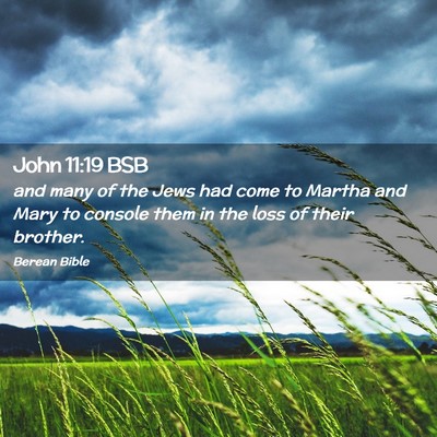 Picture 02 - John 11:19 BSB - and many of the Jews had come to Martha and Mary - Bible Verse Picture