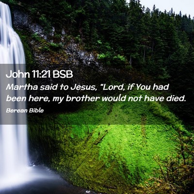 Picture 02 - John 11:21 BSB - Martha said to Jesus, “Lord, if You had been - Bible Verse Picture