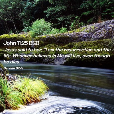 Picture 02 - John 11:25 BSB - Jesus said to her, “I am the resurrection and - Bible Verse Picture